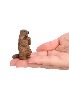 Simulation Animal Model Squirrel Mole Raccoon Red Panda River Otter Tree Kangaroo Ferret Cognitive Plastic Toy-Color:PL127-2970 Marmot