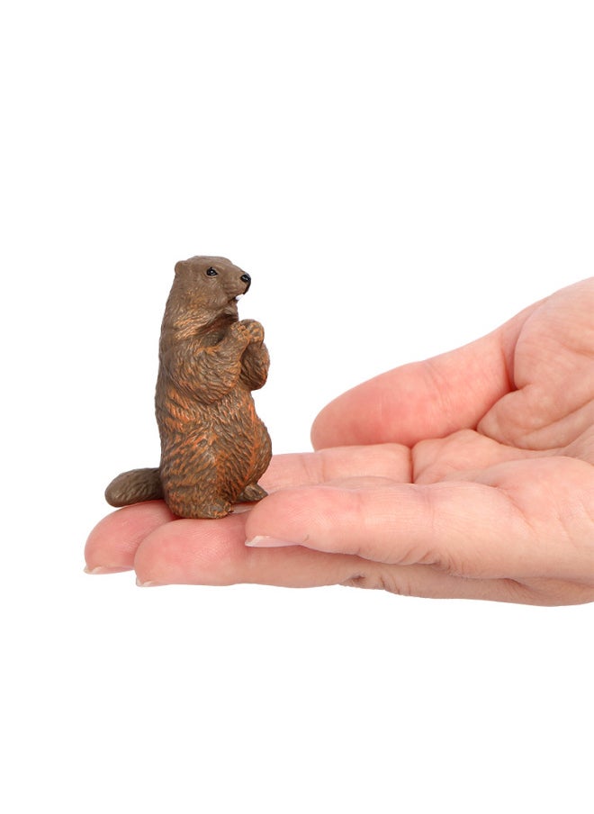 Generic - Simulation Animal Model Squirrel Mole Raccoon Red Panda River Otter Tree Kangaroo Ferret Cognitive Plastic Toy-Color:PL127-2970 Marmot - Image 1