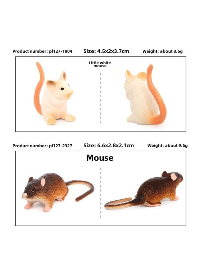 Generic - Simulation Animal Model Squirrel Mole Raccoon Red Panda River Otter Tree Kangaroo Ferret Cognitive Plastic Toy-Color:PL127-2970 Marmot - Image 1
