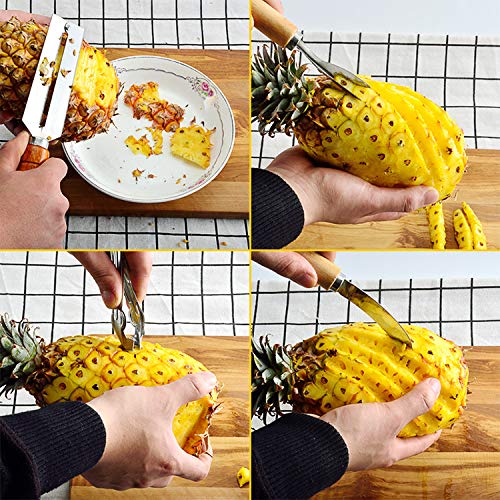 HARI Yoo-Neek- Stainless Steel Sugarcane/Pineapple Peeling Multifunctional Peeler/Knife (Set of 4) Silver - Image 3