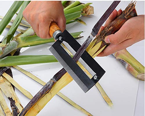 HARI Yoo-Neek- Stainless Steel Sugarcane/Pineapple Peeling Multifunctional Peeler/Knife (Set of 4) Silver - Image 4