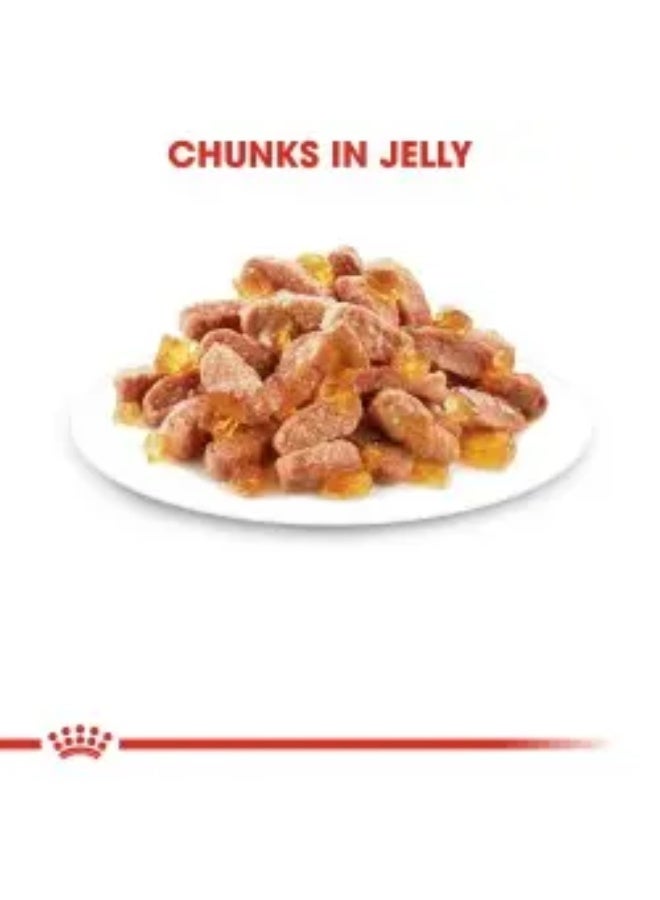 ROYAL CANIN رويال كانين فeline هيلث نيوترشن كيتن جيلي، عبوة من 12 × 85 جرام - دعم النمو - Image 3