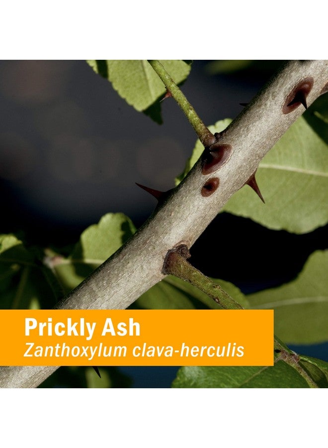 Herb Pharm Prickly Ash Liquid Extract - 1 Ounce - Image 2