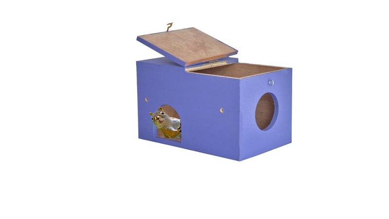 GO7 Wooden Squirrel House, Comfortable & Safe for Squirrel Pack of 1 - Image 4