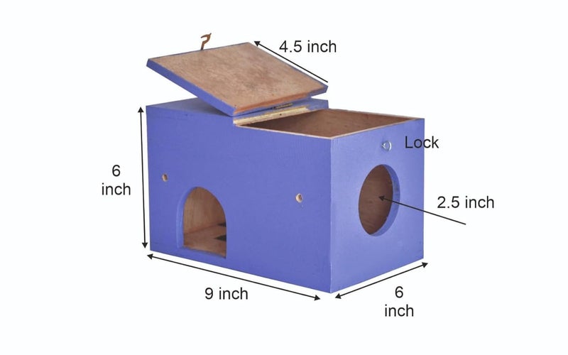 GO7 Wooden Squirrel House, Comfortable & Safe for Squirrel Pack of 1 - Image 3