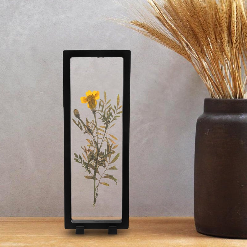 Black Shadow Box Display Case 30x11 Inch with Cover for Insect Specimen Butterfly Collection Storage - Image 5