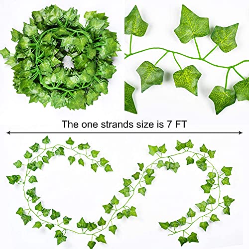 Dekorly Artificial Green Leaf Vine Money Plant Hanging, Artificial Ivy Leaves, Artificial Creeper Leaf Vine, Artificial Ivy Foliage, Ivy Wall Decor,Roof Decor | Each Plant 6 Feet (Green-B, 12) - Image 4
