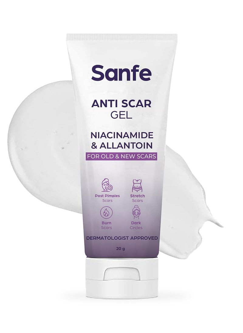 Anti Scar Gel Niacinamide Allantoin Acne Stretch Burn Scars Dark Circles Removal Old New Scars 20g - pzsku/Z3604197A454C8D6B2CF0Z/45/_/1740472965/6973c268-8042-4562-a019-b72a0e5f527f