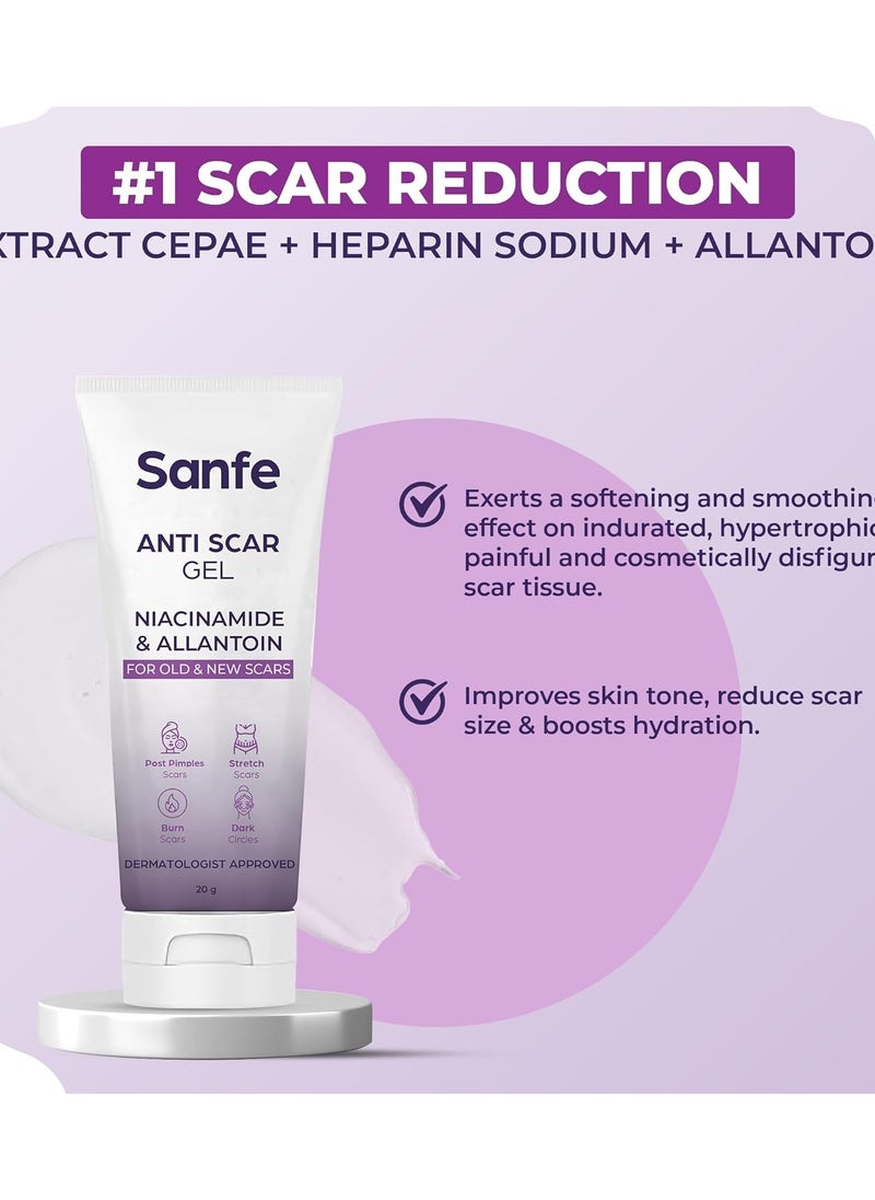 Anti Scar Gel Niacinamide Allantoin Acne Stretch Burn Scars Dark Circles Removal Old New Scars 20g - pzsku/Z3604197A454C8D6B2CF0Z/45/_/1740472985/e71e3857-af07-4c91-b756-739b2ccd9975