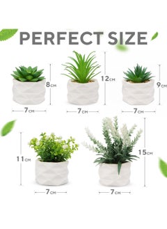 Neobloom Mini Artificial Succulent Plants - Luxury Assorted Small Artificial Plants For Home Decor Indoor With Ceramic Pots Fake Plants Decor For Office Desk Living Room Kitchen Decoration (5)  - Image 2