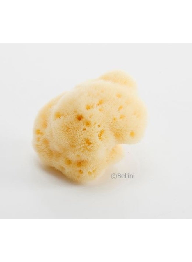 Bellini إسفنجة بحرية طبيعية من الحرير الناعم - رقم 10 - Image 2