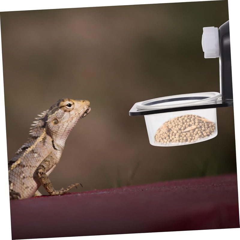 DOITOOL 2sets Plastic Reptile Feeding Bowl Base Water and Food Basin for Bearded Dragons Geckos Frogs and Other Crawling Pets Easy to Clean Design - Image 5