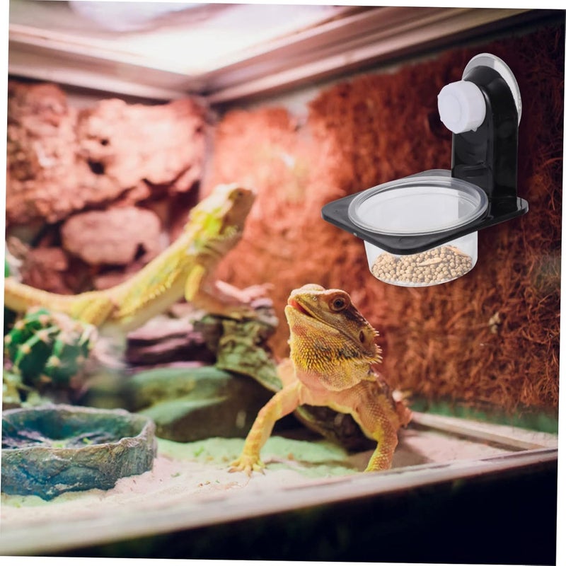 DOITOOL 2sets Plastic Reptile Feeding Bowl Base Water and Food Basin for Bearded Dragons Geckos Frogs and Other Crawling Pets Easy to Clean Design - Image 3