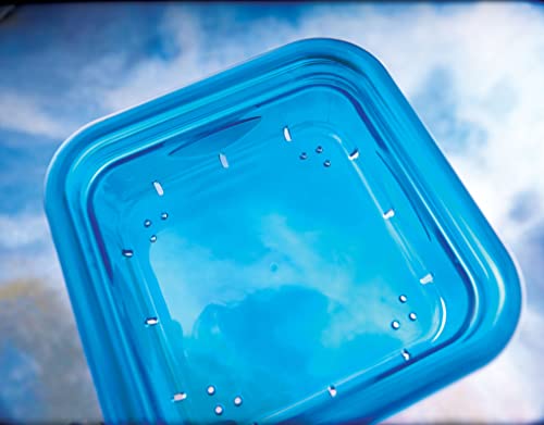 More Birds Stokes Select 38200 Bird Feeder, Blue - Image 5