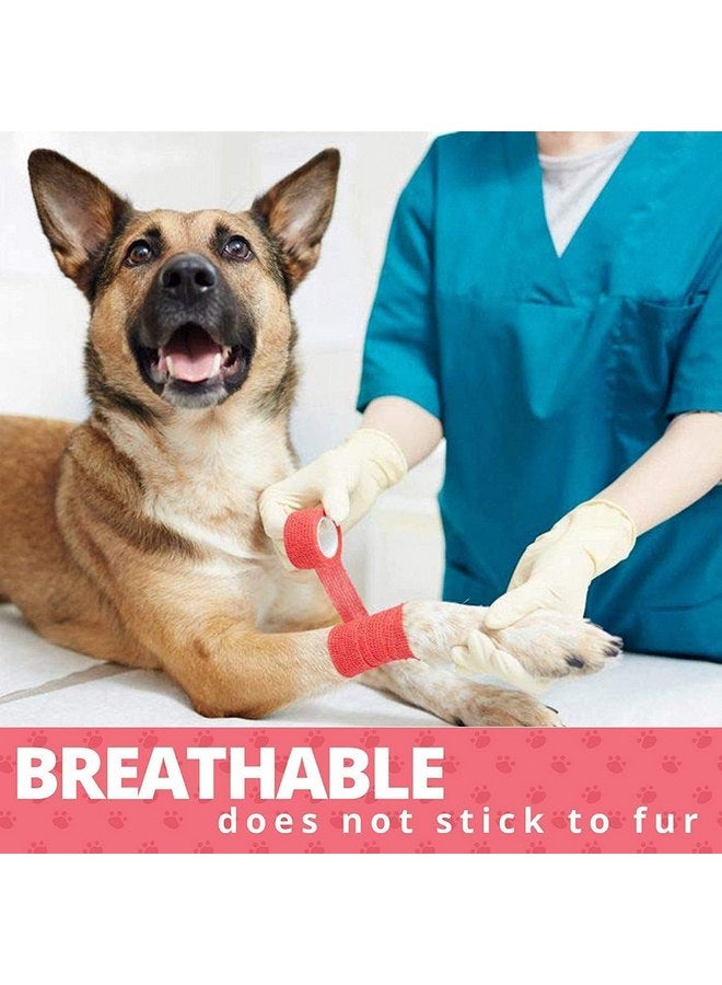 MEDca Vet Wrap - (Pack of 6-2 inch x 5 Yard Rolls) Self Adherent Wrap Cohesive Compression Bandage and Medical Gauze Bandage Roll Tape for Dogs, Cats, Horses - Assorted Colors - Image 2