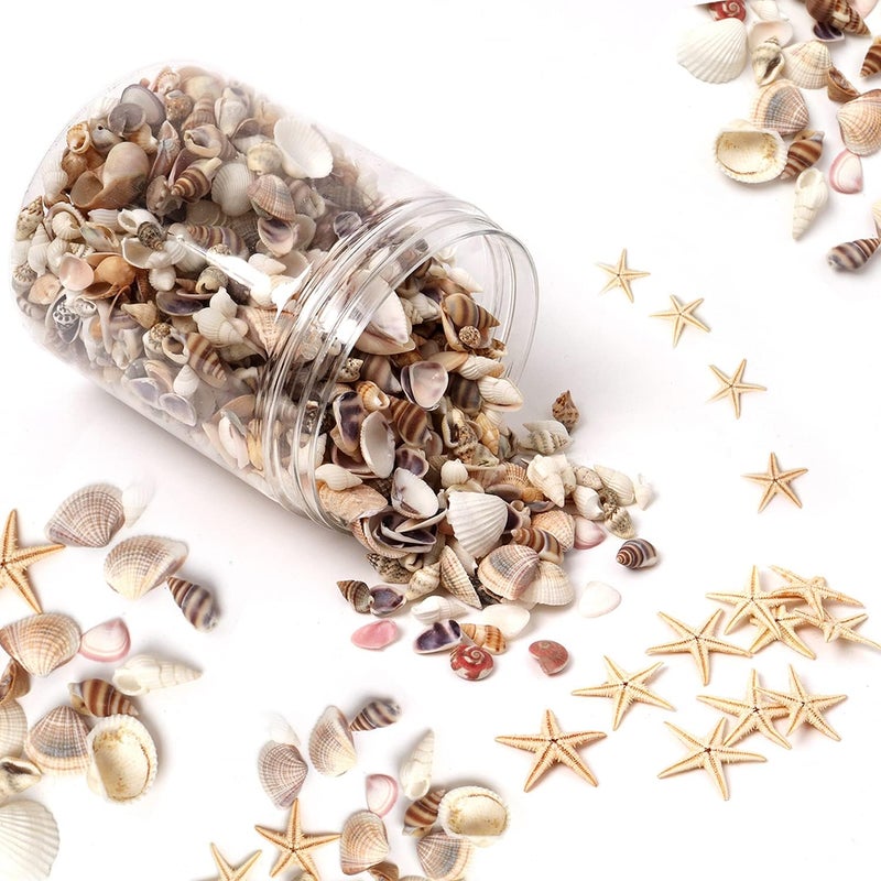 HAPY SHOP 1200 Pieces Tiny Sea Shells Small Natural Starfish Mixed Ocean Beach Spiral Seashells for Home Decorations,Wedding Decor,Candle Making,Beach Theme Party,DIY Crafts and Vase Filler - Image 1