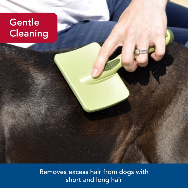 Coastal Pet Safari Dog Soft Slicker Brush - Dog Grooming Brush for Shedding - for Dogs with Short, Medium and Long Hair - Medium - 6.25" x 3.5" - Image 3