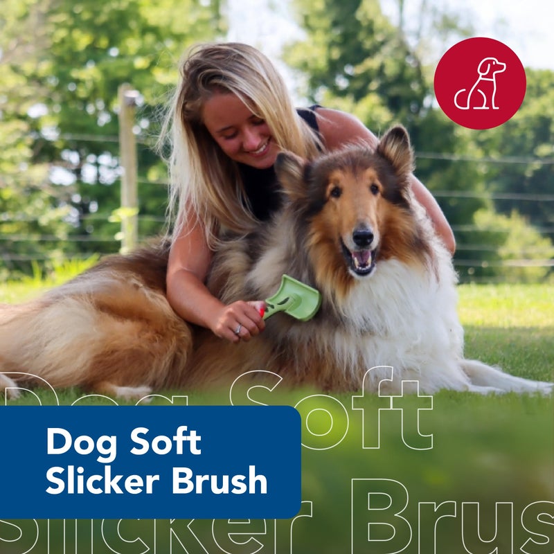 Coastal Pet Safari Dog Soft Slicker Brush - Dog Grooming Brush for Shedding - for Dogs with Short, Medium and Long Hair - Medium - 6.25" x 3.5" - Image 2
