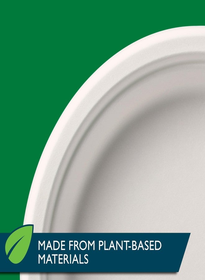 Hefty أطباق ورقية قابلة للتحلل من هيfty ECOSAVE، 10-1/8 بوصة، 16 قطعة - Image 3