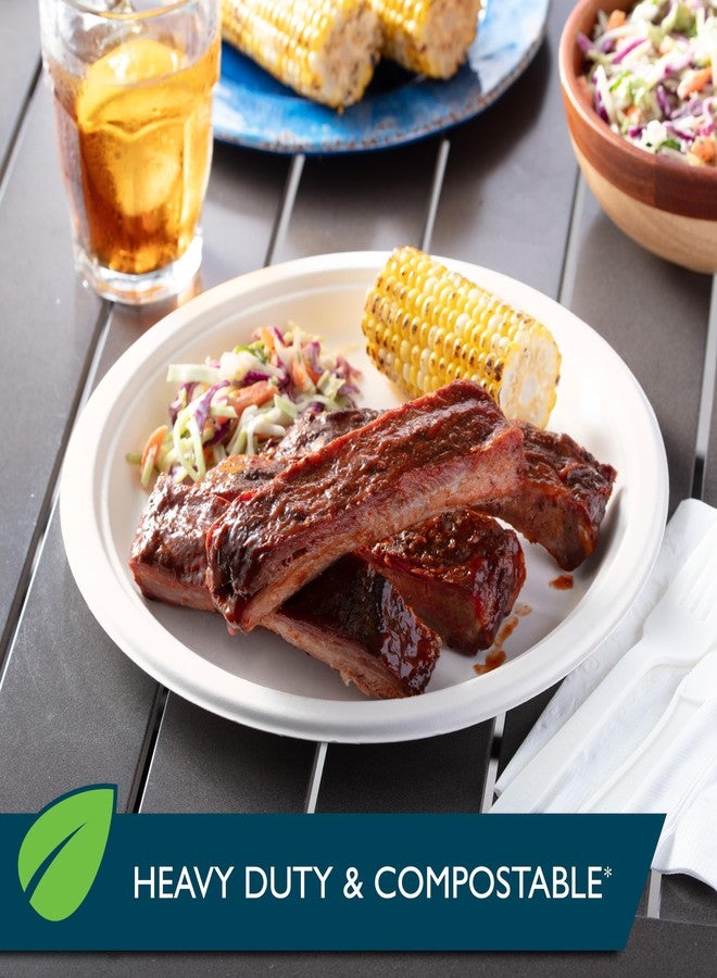 Hefty أطباق ورقية قابلة للتحلل من هيfty ECOSAVE، 10-1/8 بوصة، 16 قطعة - Image 4