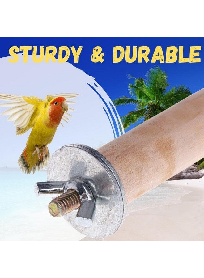 Sage Square Set of 5 Natural Habitat Wooden Perch/Stand/Toy for Birds Budgie/Cockatiel/Parrot/Hamster/Squirrel (Light Weight) (Sizes - 4.5", 6.5", 8.5", 10.5",12.5") - Image 5