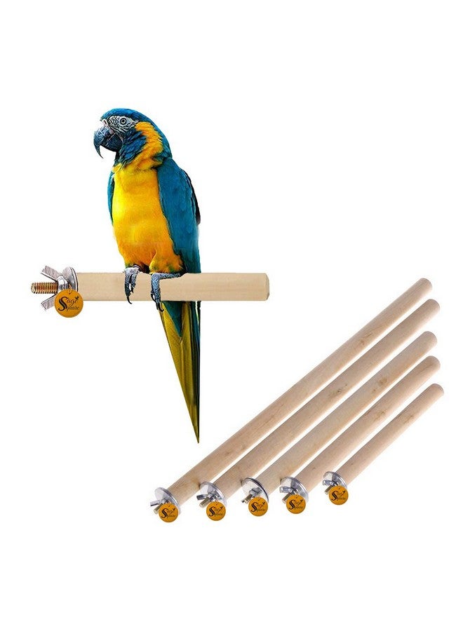 Sage Square Set of 5 Natural Habitat Wooden Perch/Stand/Toy for Birds Budgie/Cockatiel/Parrot/Hamster/Squirrel (Light Weight) (Sizes - 4.5", 6.5", 8.5", 10.5",12.5") - Image 1