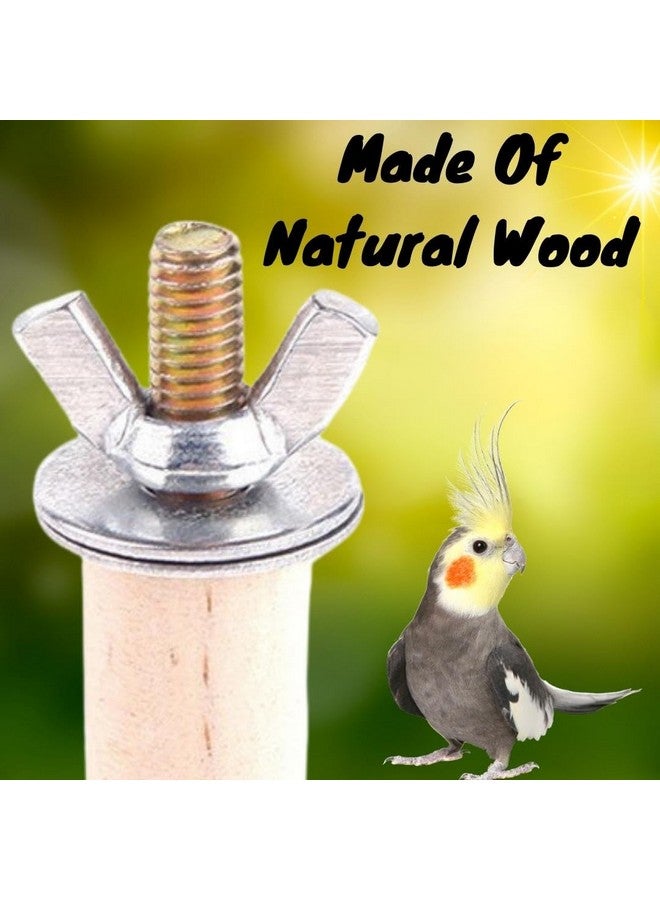 Sage Square Set of 5 Natural Habitat Wooden Perch/Stand/Toy for Birds Budgie/Cockatiel/Parrot/Hamster/Squirrel (Light Weight) (Sizes - 4.5", 6.5", 8.5", 10.5",12.5") - Image 3