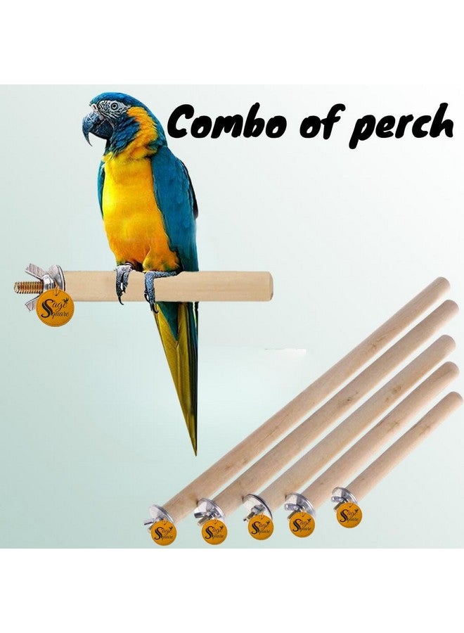 Sage Square Set of 5 Natural Habitat Wooden Perch/Stand/Toy for Birds Budgie/Cockatiel/Parrot/Hamster/Squirrel (Light Weight) (Sizes - 4.5", 6.5", 8.5", 10.5",12.5") - Image 2