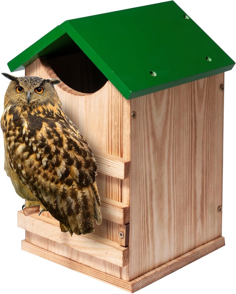 humberboat Owl House Owl Box with Bird Stand Design (House) - Image 1