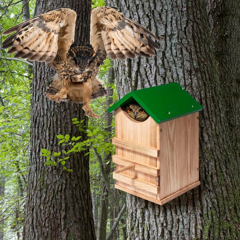 humberboat Owl House Owl Box with Bird Stand Design (House) - Image 2