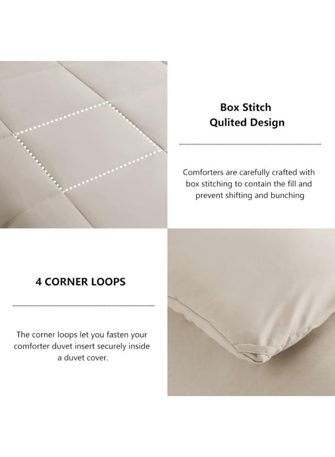 HEBE Hebe Queen Size Comforter Sets - Beige Comforter Queen Size, 3 Pieces Box Stitched Soft Lightweight Bed Set, All Season Beige Bedding Sets with 1 Down Alternative Comforter and 2 Pillow Shams 240 x 220 cm  - Image 5