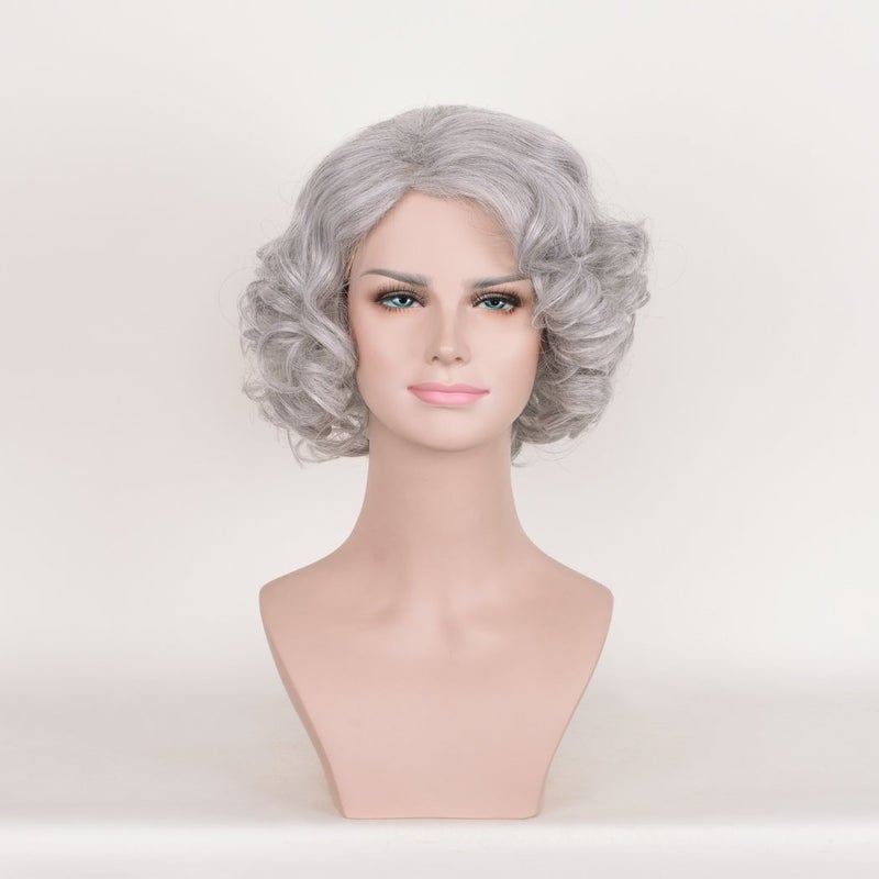DENIYA Short Curly Silver Grey Glueless Lace Front Wigs for Women Cosplay Grandma Wigs Prime