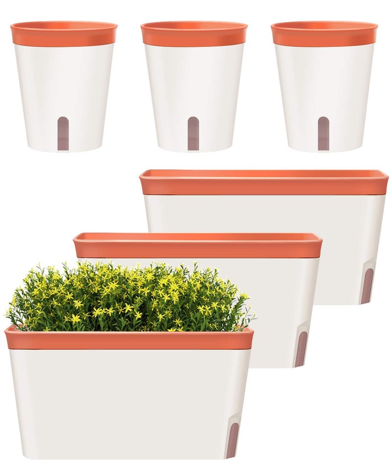 GardenBasix GardenBasix Self Watering Planter Rectangle Window Box Set of 6 for Indoor Plants Home Garden Modern Decorative Flower Pot for All House Herbs Succulents 6 Clay 