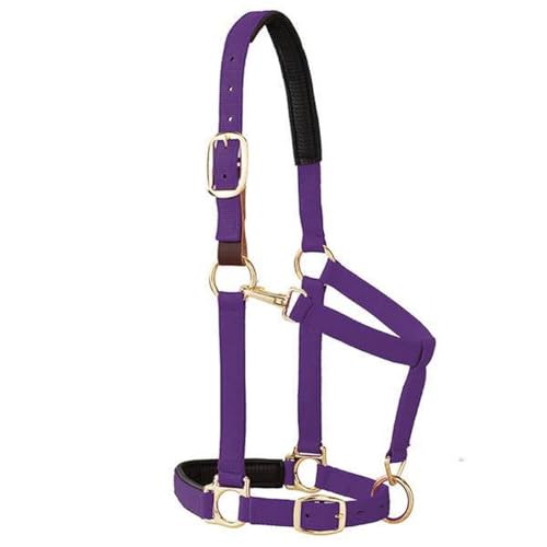 Weaver Equine Breakaway Horse Halter, Comfort Foam Padding, Adjustable Chin & Throat Snap Halters for Horses, Equine Tack,Average Size, Purple - Image 1