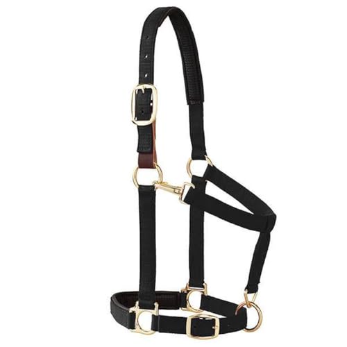 Weaver Equine Breakaway Horse Halter, Comfort Foam Padding, Adjustable Chin & Throat Snap Halters for Horses, Equine Tack,Average Size, Purple - Image 4