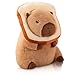 NXNYNZ 12 Inch Cute Capybara Plush Kawaii Soft Capybara Plush Doll Pillow with Bread Capybara Stuffed Aniamls Toys for Girls Kids Adults Birthdays Valentines Gift Capybara Plush for Kids - Image 3