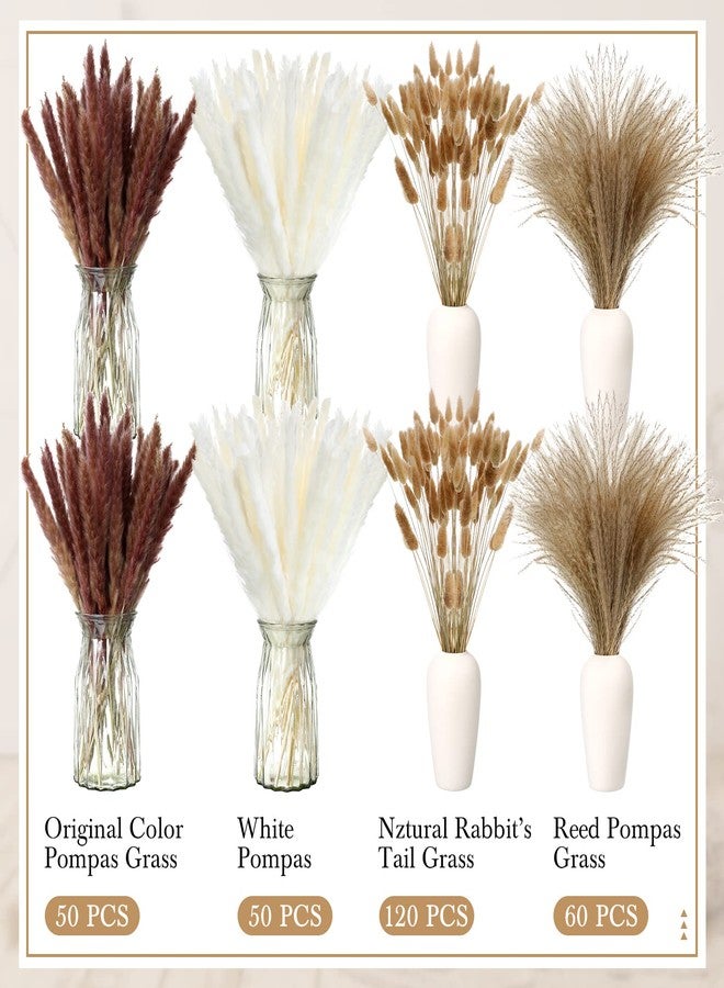 جانينكا باقة زهور مجففة طبيعية من عشب البامباس، 280 قطعة، مقاس 17 بوصة، بتصميم بوهيمي، تحتوي على عشب البامباس الأبيض الناعم والبني، مناسبة لتزيين المنزل وحفلات الزفاف وطاولات المزارع. - Image 3