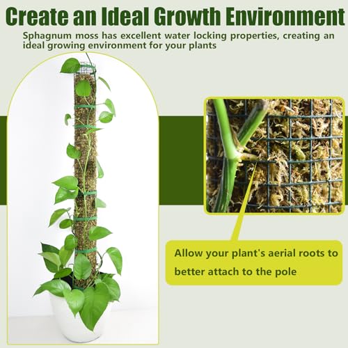 HOLANHING 2 Pack Metal Moss Pole,15" Moss Poles for Plants Monstera, Stackable Sphagnum Moss Pole for Plants,Plant Poles for Climbing Plants Work with Sphagnum Moss(2 Pack 15") - Image 4