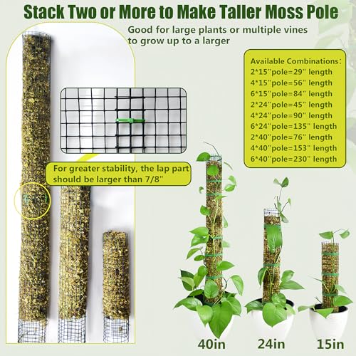 HOLANHING 2 Pack Metal Moss Pole,15" Moss Poles for Plants Monstera, Stackable Sphagnum Moss Pole for Plants,Plant Poles for Climbing Plants Work with Sphagnum Moss(2 Pack 15") - Image 2