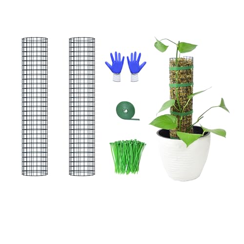 HOLANHING 2 Pack Metal Moss Pole,15" Moss Poles for Plants Monstera, Stackable Sphagnum Moss Pole for Plants,Plant Poles for Climbing Plants Work with Sphagnum Moss(2 Pack 15") - Image 1