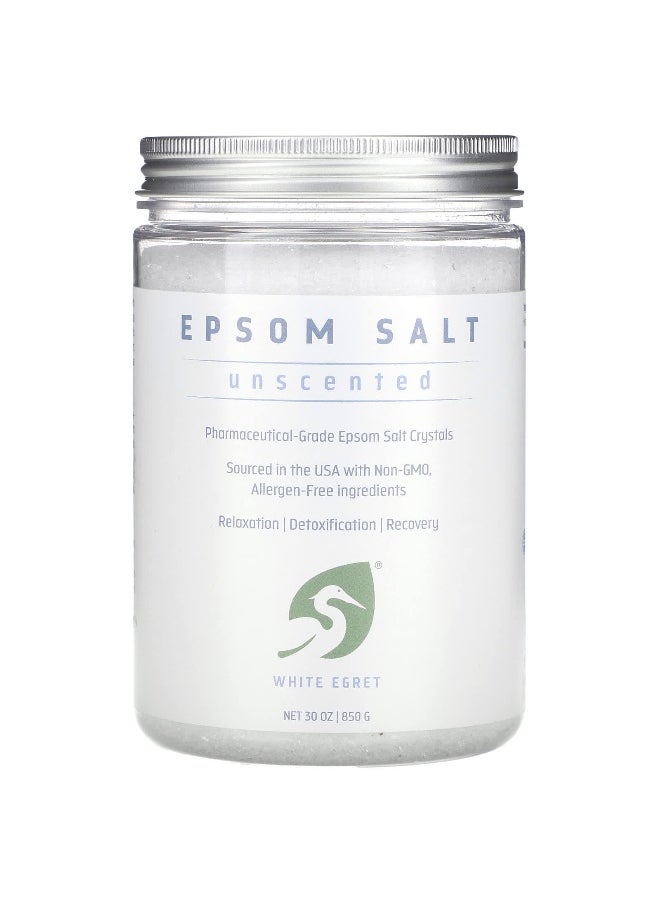 White Egret Personal Care White Egret Personal Care, Epsom Salt, Unscented, 30 oz (850 g)  - Image 1