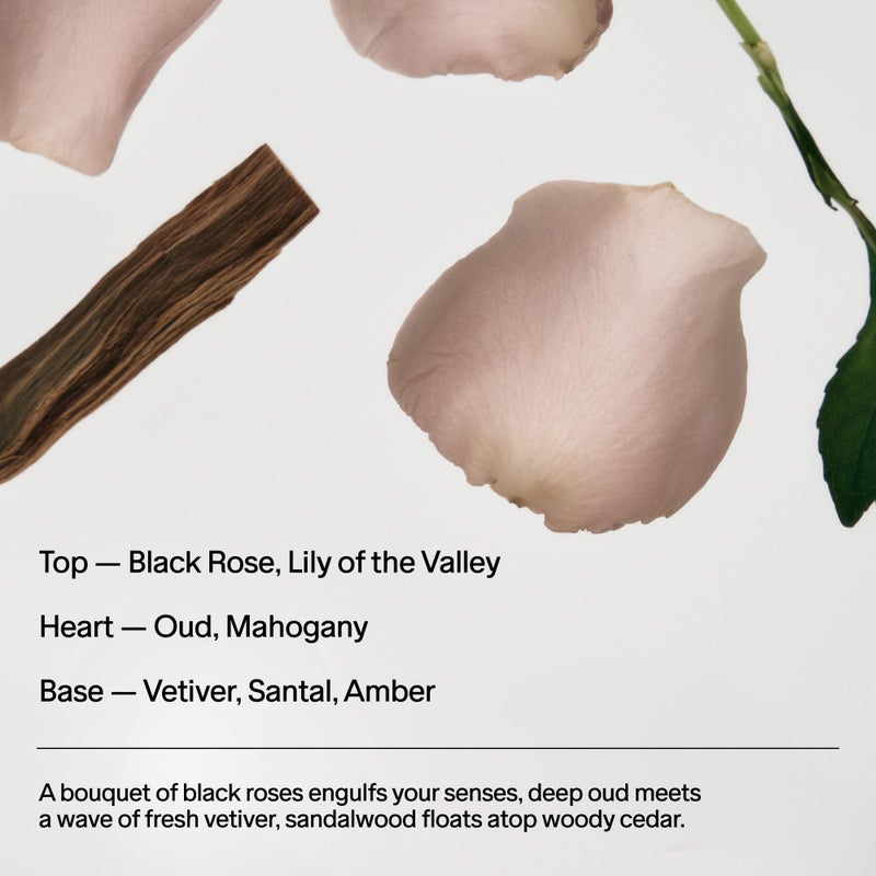 SALT & STONE Aluminum Free Deodorant | Extra Strength 48 Hour Protection for Women & Men | Made with Seaweed Extracts, Niacinamide & Prebiotics (Black Rose & Oud) - Image 4