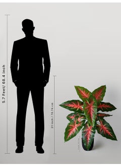 De Gardenia De Gardenia Artificial Caladium Plant with Black Pot 12 Leaves with Web Pattern 787 cm Tall Decorative Indoor Plant for Home Office Decor Red Patched Caladium Plant  - Image 3