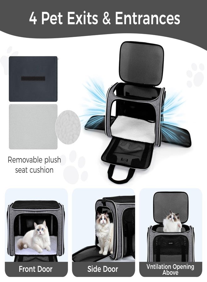 BAGLHER Pet Travel Carrier, Cat Carriers Dog Carrier for Small Medium Cats Dogs Puppies, Airline Approved Small Dog Carrier Soft Sided, Collapsible Puppy Carrier. Grey - Image 4