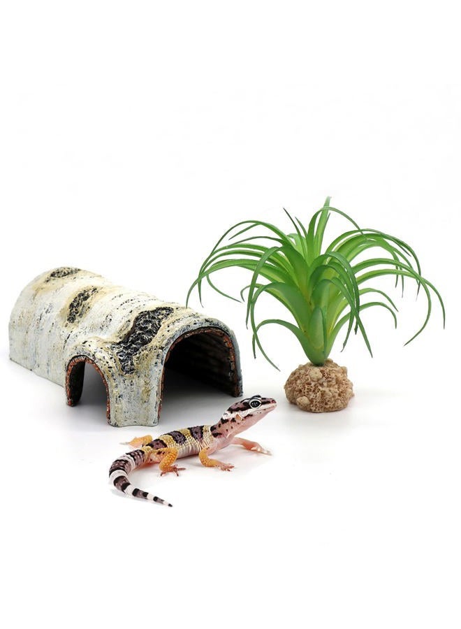 relaqcc Reptile Hides and Caves Birch Tree Bark Trunk Habitats Decor Aquarium Decoration Wood for Lizard Geckos Snake Spiders Frogs Turtle (Small) - Image 1