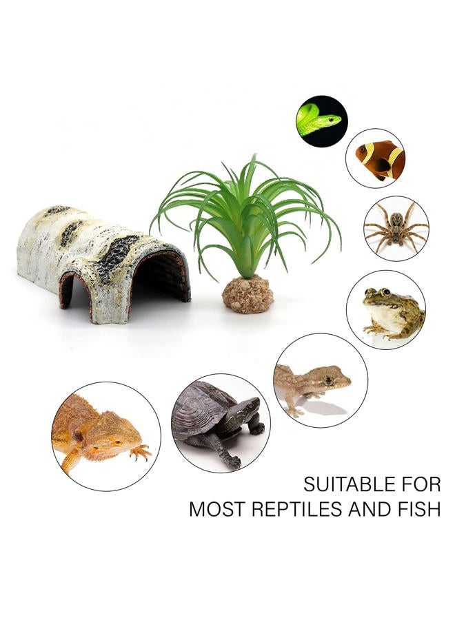 relaqcc Reptile Hides and Caves Birch Tree Bark Trunk Habitats Decor Aquarium Decoration Wood for Lizard Geckos Snake Spiders Frogs Turtle (Small) - Image 5
