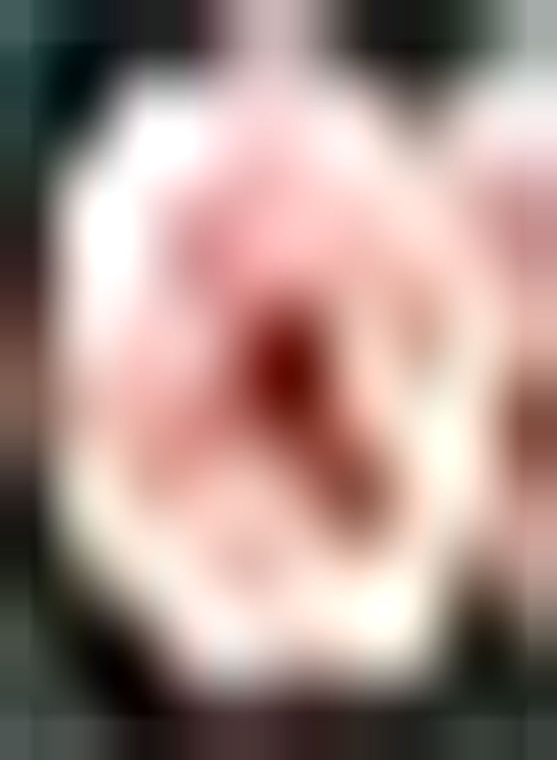 GGOOT 100Stück rosafarbene Dahlien Samen schaffen perfekte Garten Landschaftsgestaltung geeignet für Zuhause einfache Keimung anpassungsfähig neulingsfreundlich - Image 1