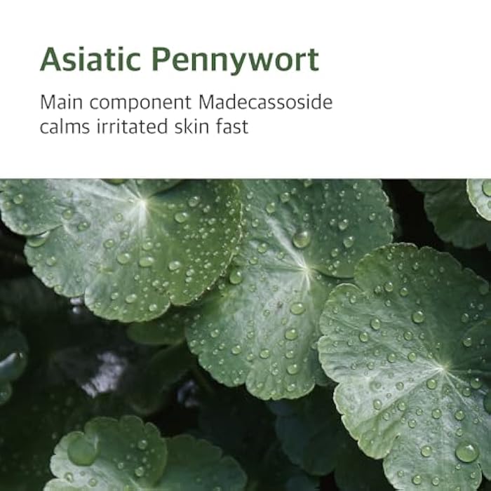 ROUND LAB Soothing cream with armo 80 ml - Image 5