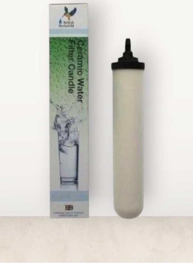 بريتش بيركفيلد شمعة فلتر انجليزى السيراميك بالكربون