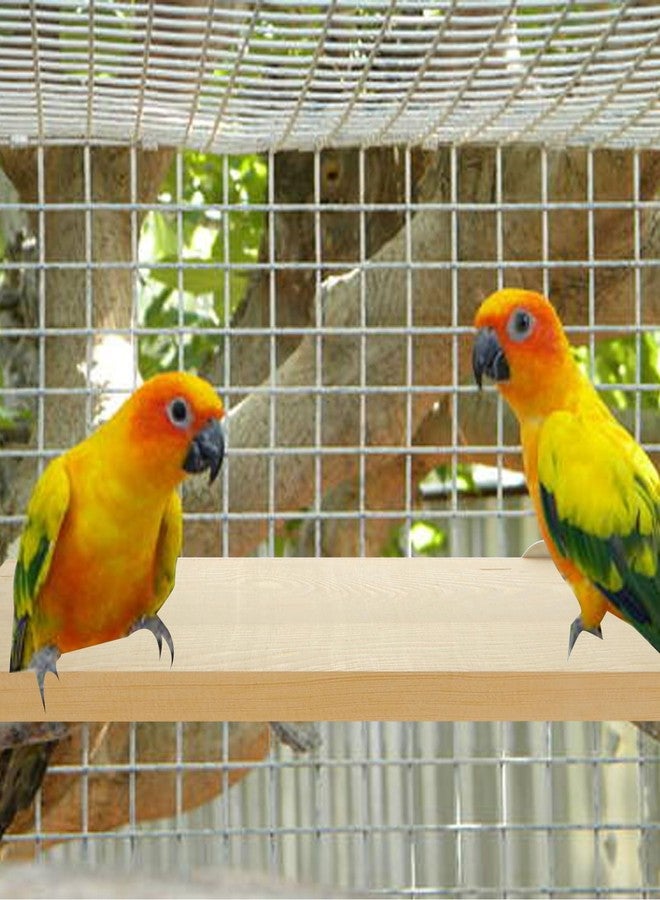 DIRBUY 4 Pack 5 x 12 Inches Bird Perches - Natural Wooden Flat Bird Perch - Rectangle Bird Perch Stand Platform for Parrot, Budgies, Parakeet, Cockatiels, Conure, Lovebirds - Image 3
